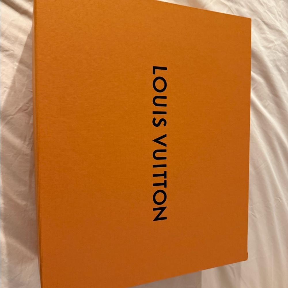 Louis Vuitton Monogram Loop Hobo - Like New - Picture 8 of 8